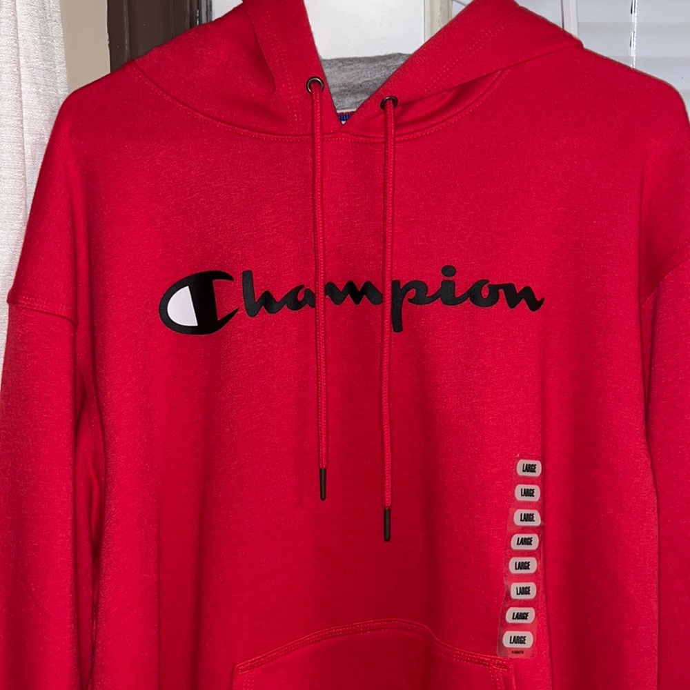 Mens champion hoodie NWT size large.